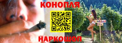 прущие грибы Заводоуковск