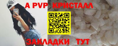 прущие грибы Заводоуковск
