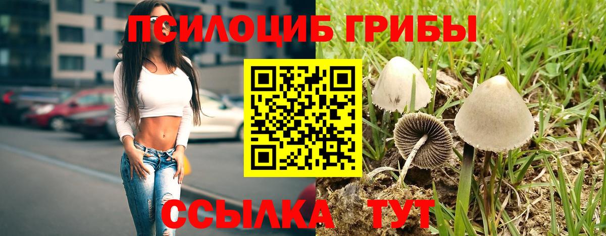 Псилоцибиновые грибы Magic Shrooms Озёрск